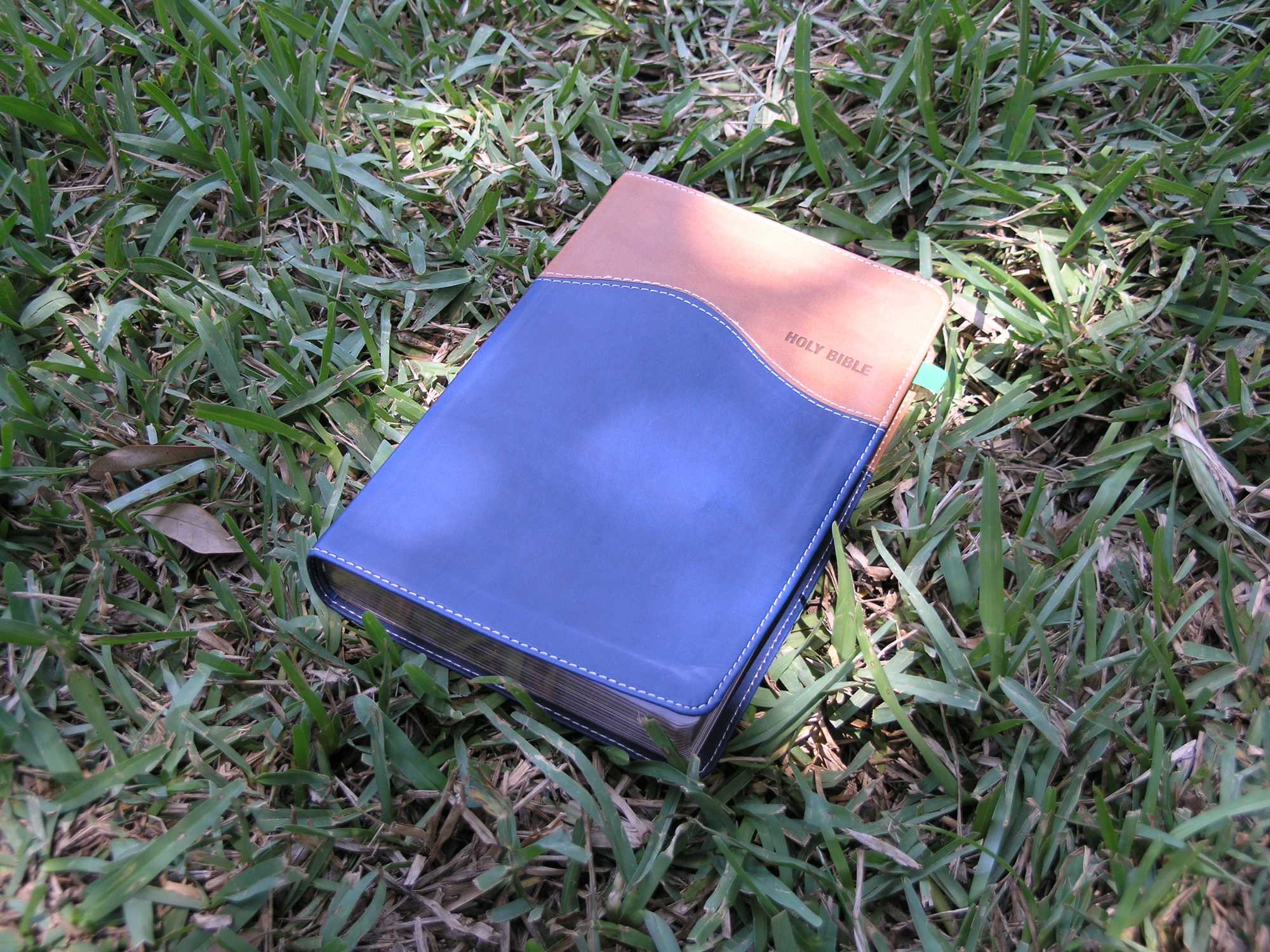 Bible on lawn