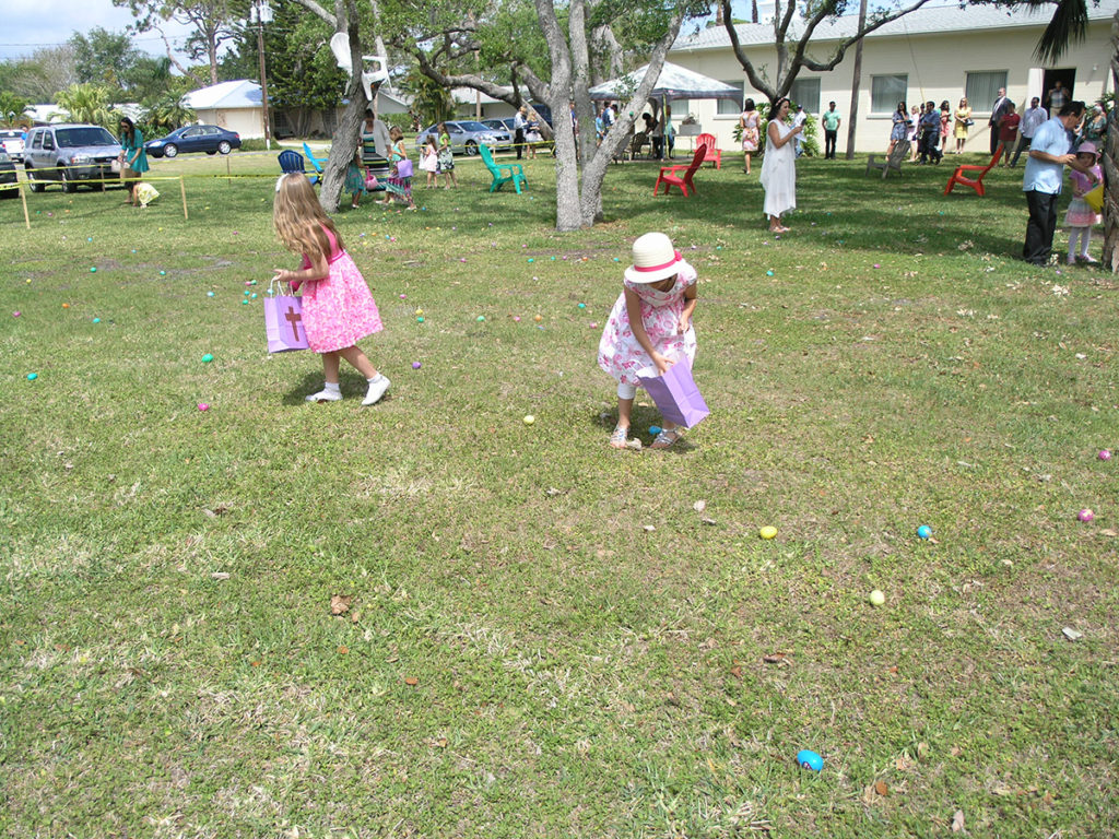 Egg Hunt Fun