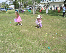 Egg Hunt Fun