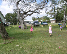 Eggs Eggs Everywhere