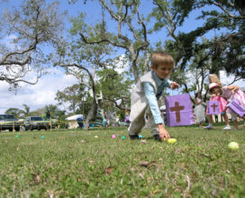 So many eggs at the church egg hunt